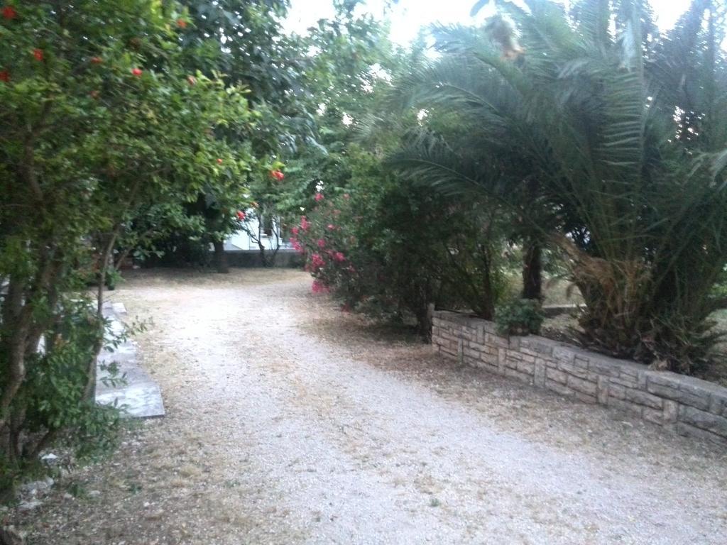Apartment Tome Biograd Na Moru Camera foto